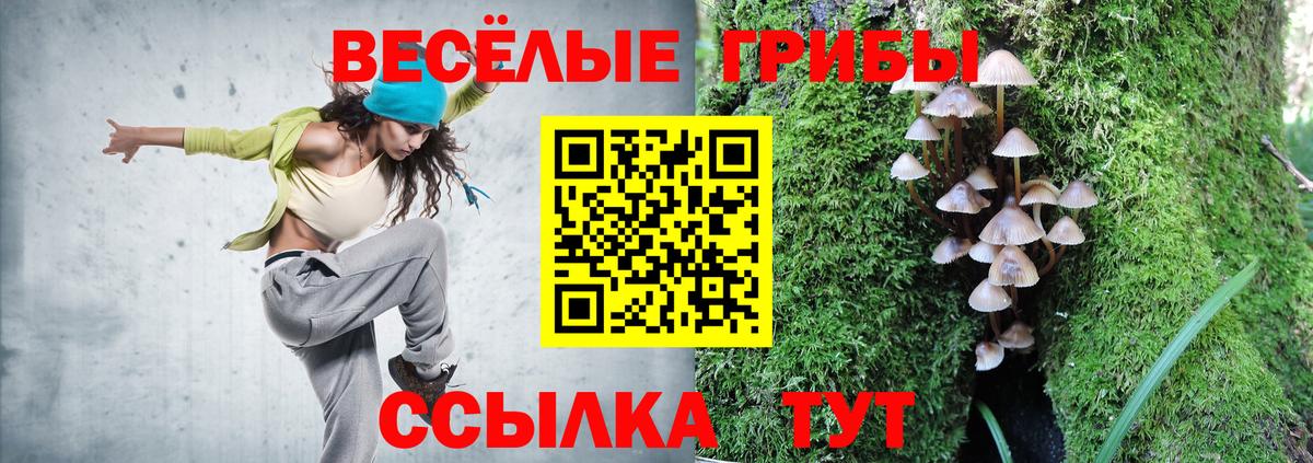 ГАШИШ Артём