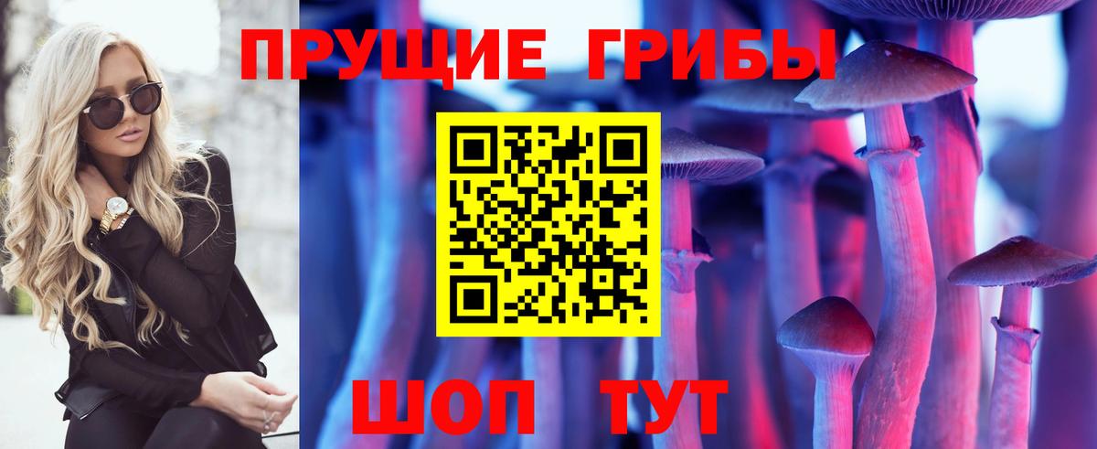 Псилоцибиновые грибы MAGIC MUSHROOMS  Вход с VPN  Артём  купить наркоту  Галлюциногенные грибы прущие грибы 